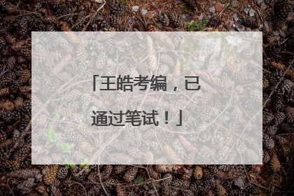 王皓考编，已通过笔试！