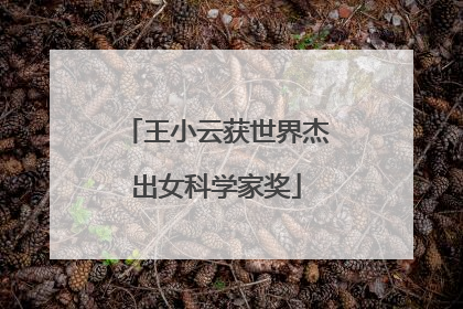 王小云获世界杰出女科学家奖
