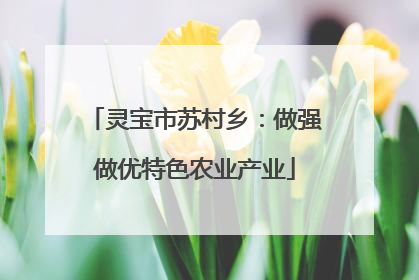 灵宝市苏村乡：做强做优特色农业产业