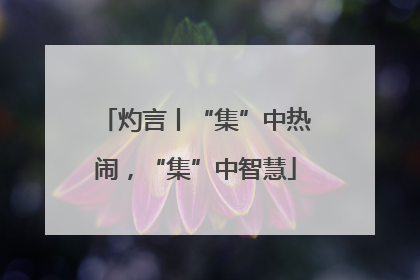 灼言丨“集”中热闹，“集”中智慧
