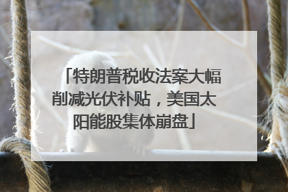特朗普税收法案大幅削减光伏补贴，美国太阳能股集体崩盘