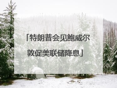 特朗普会见鲍威尔 敦促美联储降息