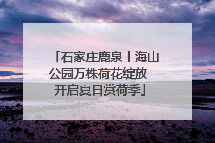 石家庄鹿泉丨海山公园万株荷花绽放 开启夏日赏荷季