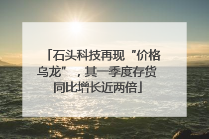石头科技再现“价格乌龙”，其一季度存货同比增长近两倍