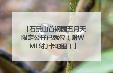 石景山首钢园五月天限定公仔已就位（附WMLS打卡地图）