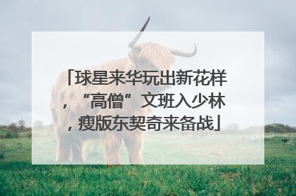 球星来华玩出新花样，“高僧”文班入少林，瘦版东契奇来备战