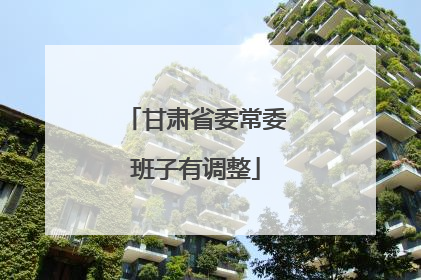 甘肃省委常委班子有调整