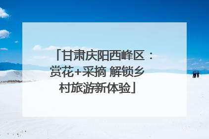 甘肃庆阳西峰区：赏花+采摘 解锁乡村旅游新体验