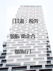 甘肃：税务领航 助企合规前行