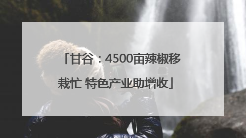甘谷：4500亩辣椒移栽忙 特色产业助增收