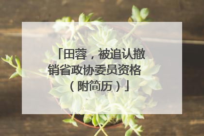 田蓉，被追认撤销省政协委员资格（附简历）