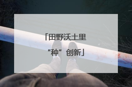 田野沃土里“种”创新