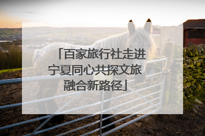 百家旅行社走进宁夏同心共探文旅融合新路径