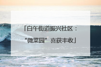 白午街道振兴社区：“微菜园”喜获丰收