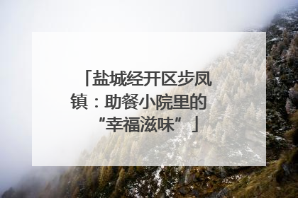 盐城经开区步凤镇：助餐小院里的“幸福滋味”