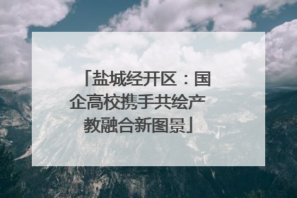 盐城经开区：国企高校携手共绘产教融合新图景