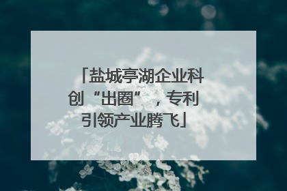 盐城亭湖企业科创“出圈”，专利引领产业腾飞