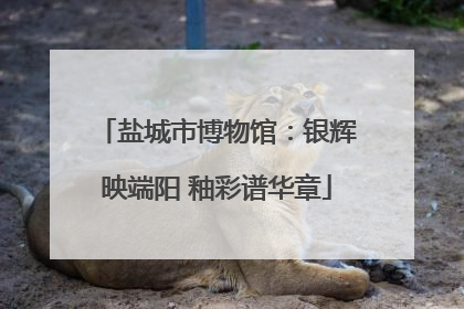盐城市博物馆：银辉映端阳 釉彩谱华章