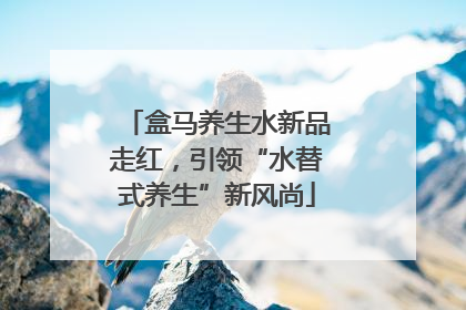 盒马养生水新品走红,引领“水替式养生”新风尚