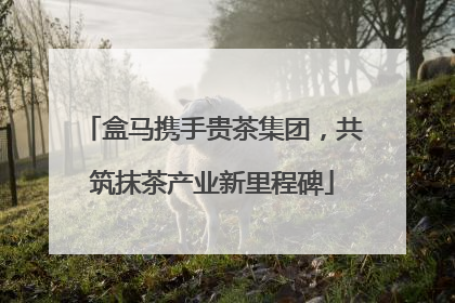 盒马携手贵茶集团，共筑抹茶产业新里程碑