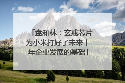 盘和林：玄戒芯片为小米打好了未来十年企业发展的基础