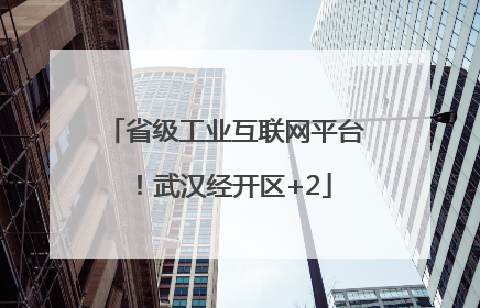 省级工业互联网平台！武汉经开区+2