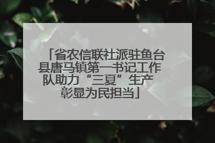 省农信联社派驻鱼台县唐马镇第一书记工作队助力“三夏”生产 彰显为民担当