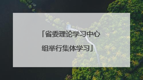 省委理论学习中心组举行集体学习