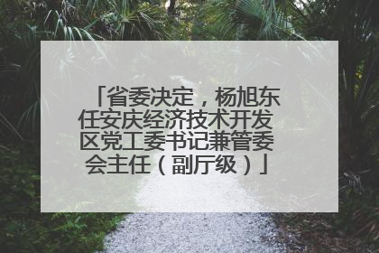 省委决定，杨旭东任安庆经济技术开发区党工委书记兼管委会主任（副厅级）