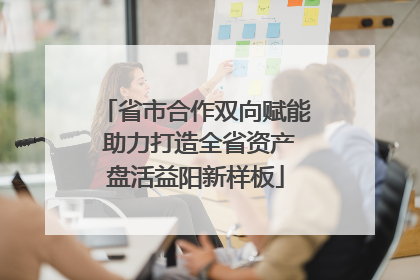 省市合作双向赋能 助力打造全省资产盘活益阳新样板