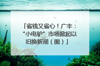 省钱又省心！广丰：“小电驴”市场掀起以旧换新潮（图）