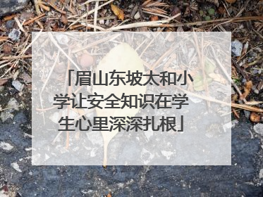 眉山东坡太和小学让安全知识在学生心里深深扎根