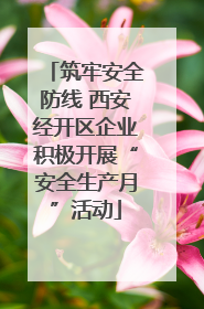 筑牢安全防线 西安经开区企业积极开展“安全生产月”活动
