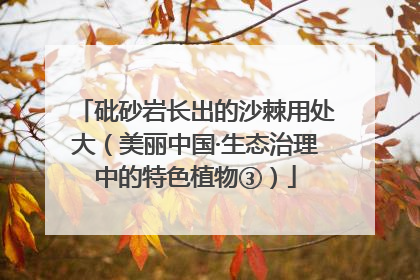 砒砂岩长出的沙棘用处大（美丽中国·生态治理中的特色植物③）