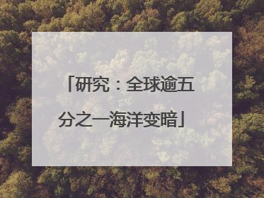 研究：全球逾五分之一海洋变暗