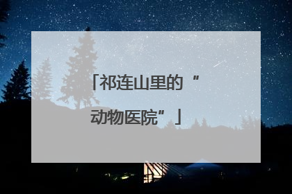 祁连山里的“动物医院”