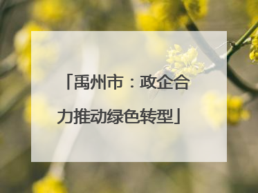 禹州市：政企合力推动绿色转型