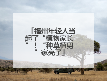 福州年轻人当起了“植物家长”！“种草植男”家亮了
