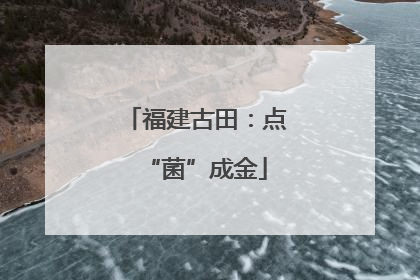 福建古田：点“菌”成金
