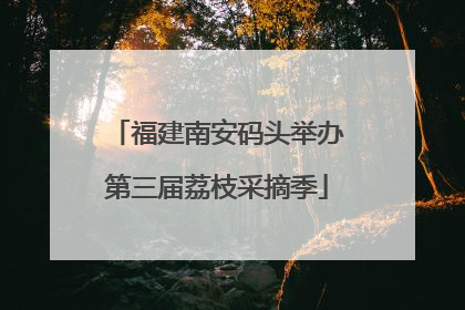 福建南安码头举办第三届荔枝采摘季