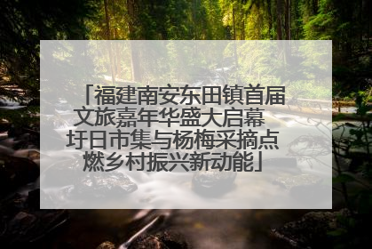 福建南安东田镇首届文旅嘉年华盛大启幕 圩日市集与杨梅采摘点燃乡村振兴新动能
