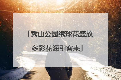 秀山公园绣球花盛放 多彩花海引客来