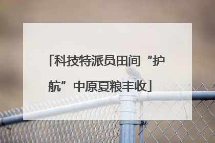 科技特派员田间“护航”中原夏粮丰收