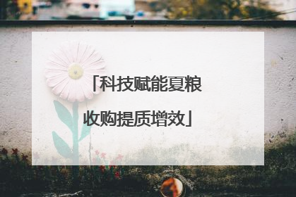 科技赋能夏粮收购提质增效