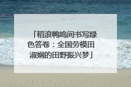 稻浪鸭鸣间书写绿色答卷：全国劳模田淑娴的田野振兴梦