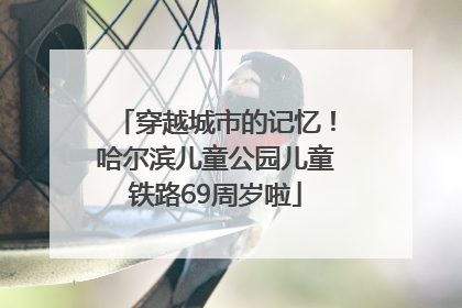 穿越城市的记忆！哈尔滨儿童公园儿童铁路69周岁啦