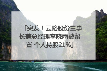 突发！云路股份董事长兼总经理李晓雨被留置 个人持股21%