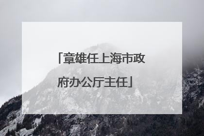 章雄任上海市政府办公厅主任
