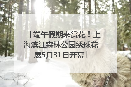 端午假期来赏花！上海滨江森林公园绣球花展5月31日开幕