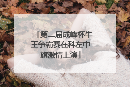 第二届成峰杯牛王争霸赛在科左中旗激情上演